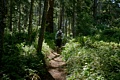 Butano State Park - June 10, 2012