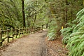 Redwood Regional Park - February 18, 2012