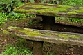 Mossy picnic table
