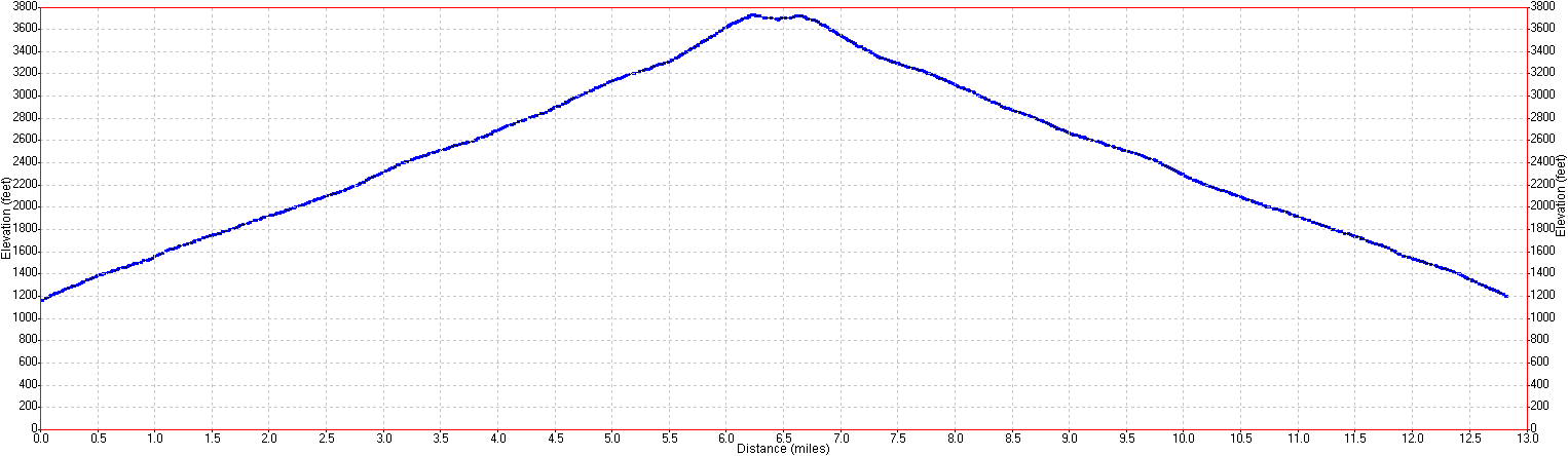 Forest Road elevation profile