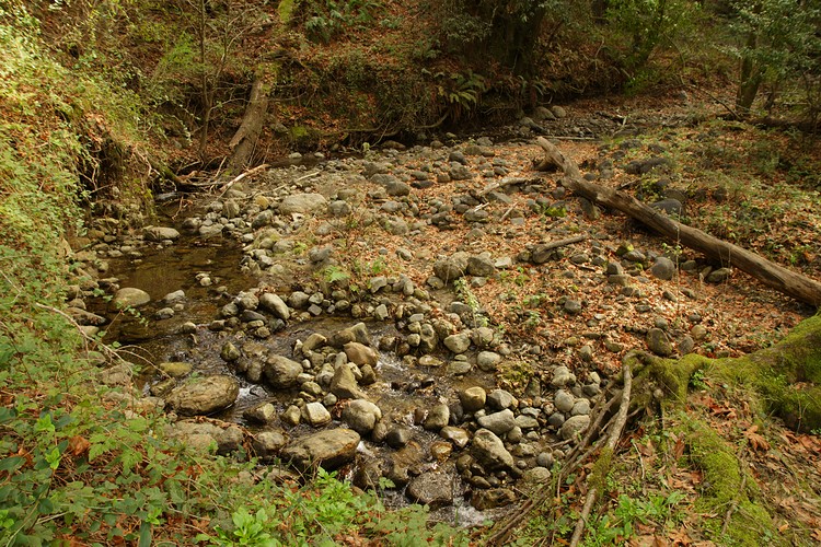 Corte Madera Creek