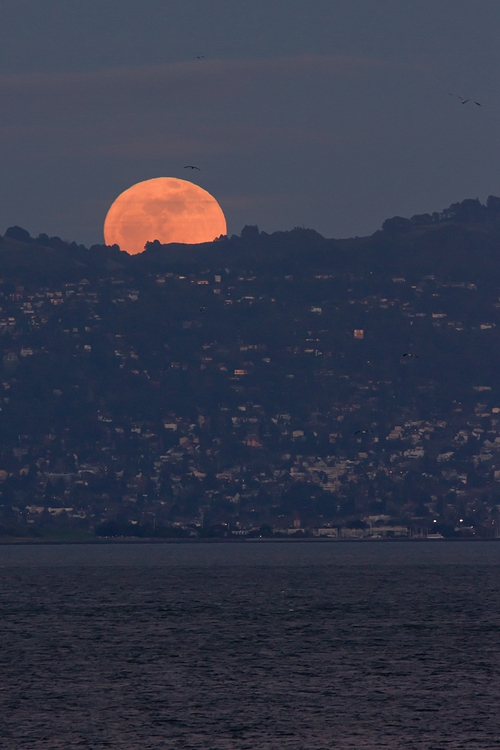 Moonrise over the Berkeley Hills