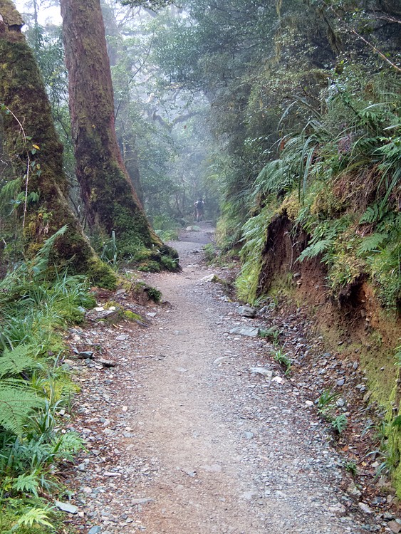 Routeburn Track