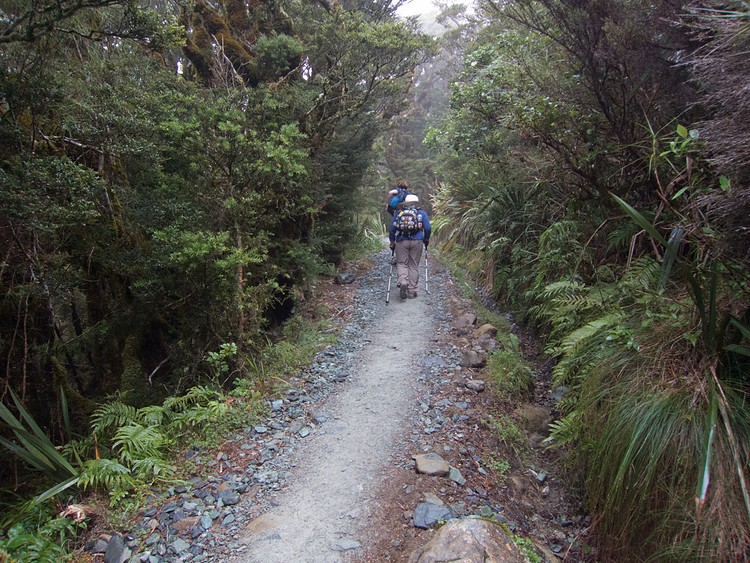 Routeburn Track