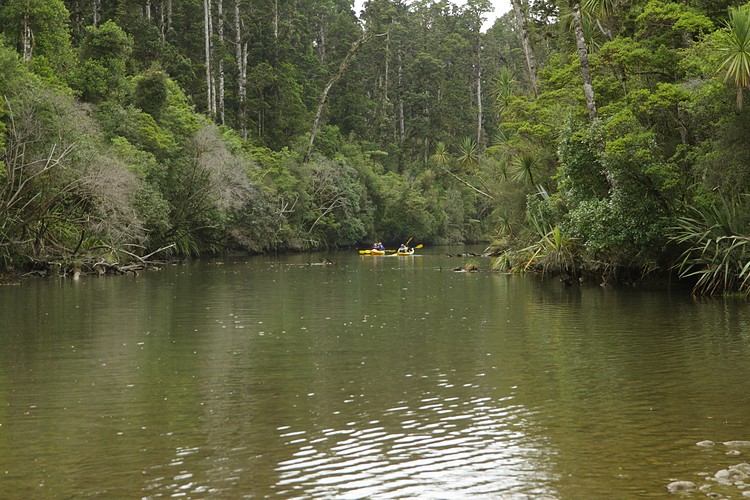 Okarito River kayakers
