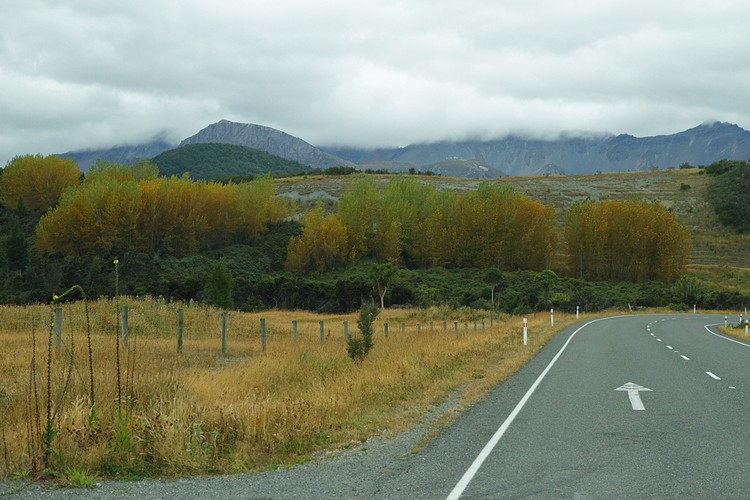 Milford Sound Highway - Eglinton Valley