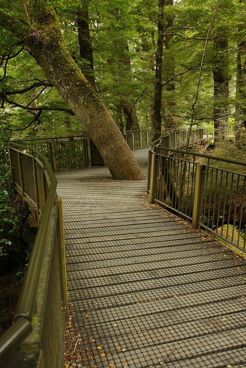 Mirror Lakes walkway