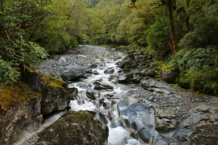 Cleddau River