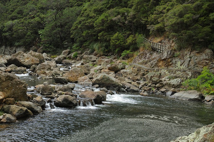 Ohinemuri River