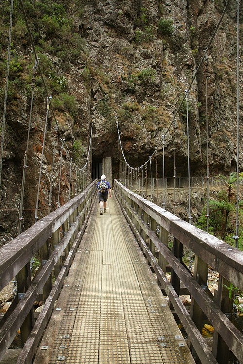 Waitawheta Gorge suspension bridge
