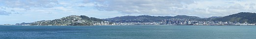 Wellington panorama
