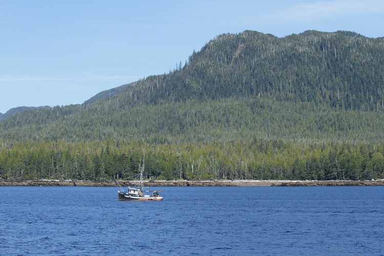 Salmon fishing boat