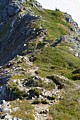 Gastineau Peak Trail