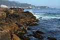 Point Lobos State Reserve - June 14, 2014