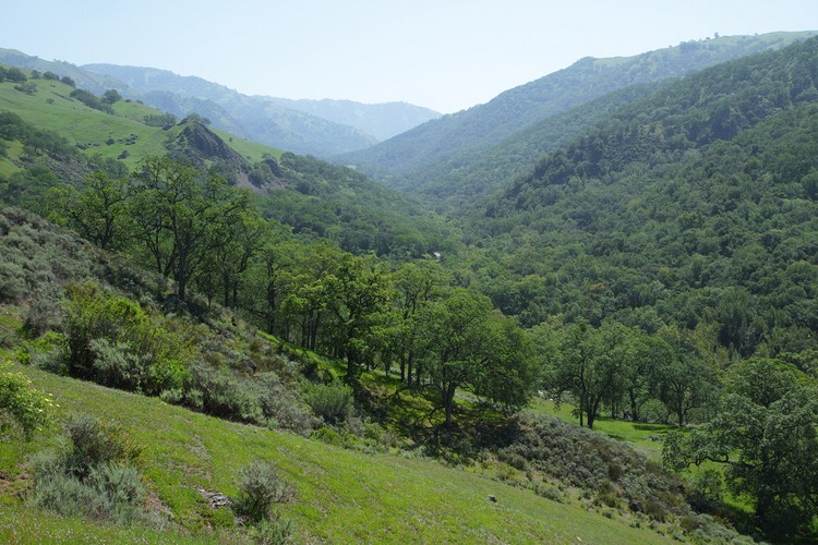 Alameda Creek Valley