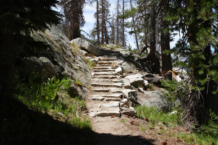 Lewis Creek Trail