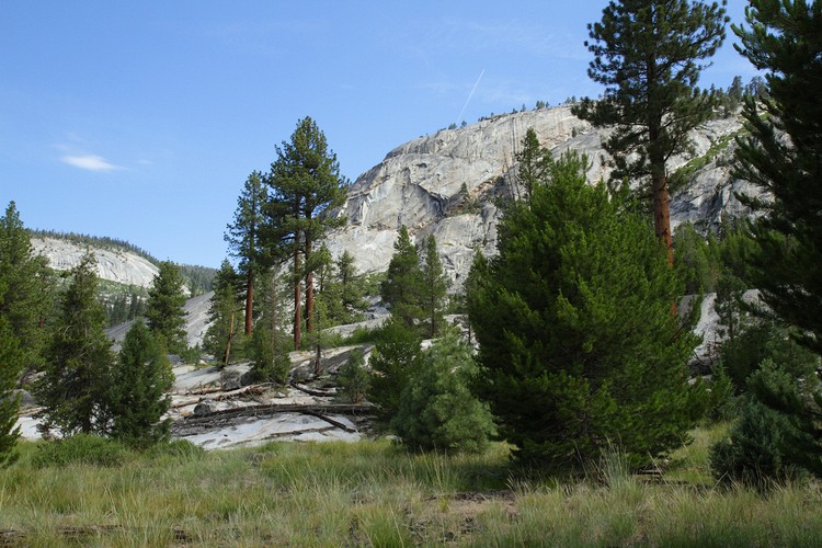 Yosemite granite