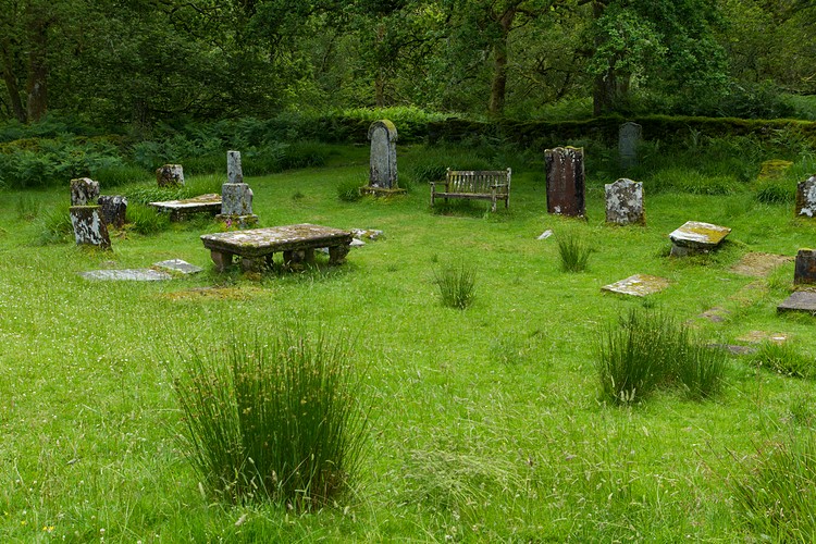 Cemetary on Inchcailloch