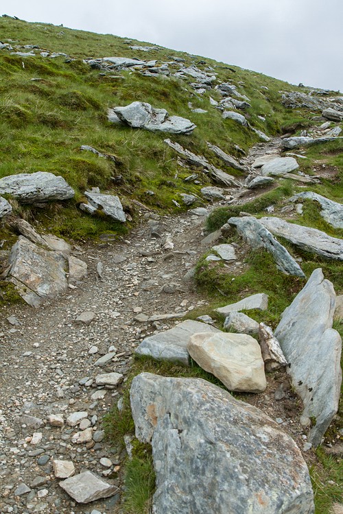 Ben Lomond Hill Path
