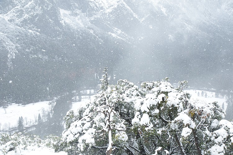Snowy View of Yosemite Valley