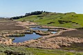 Freshwater marsh and Coyote Hills