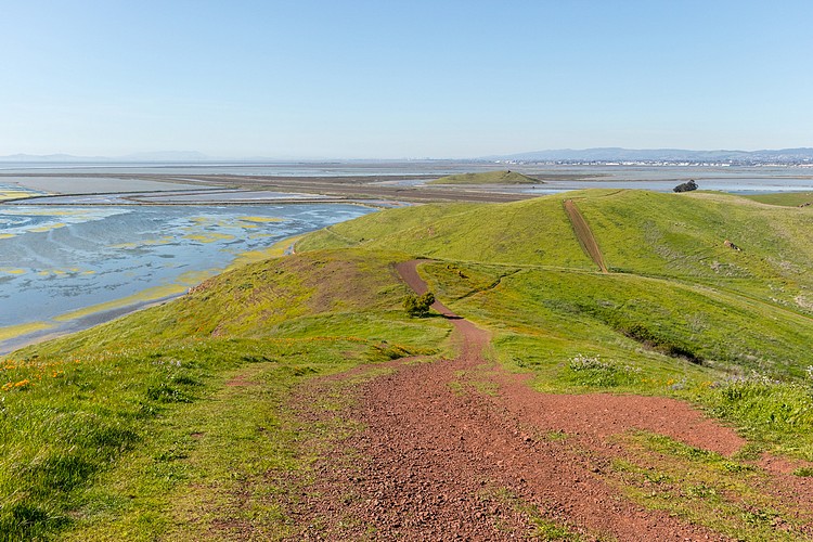 Salt Ponds and Red Hill Trail