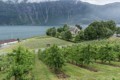 Apple orchards and Ullensvang Church (1250)