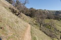Canyon View Trail