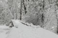 Snow-covered bridge