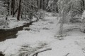 Frazil ice and snow in Yosemite Creek