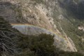 Falls rainbow