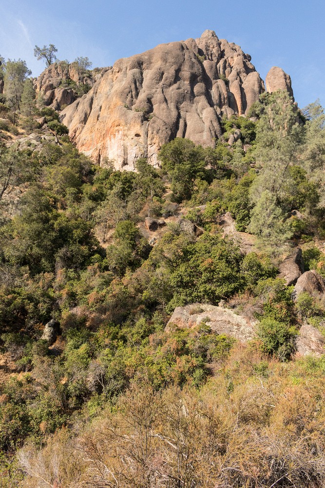 Pinnacles from High Peaks Trail
