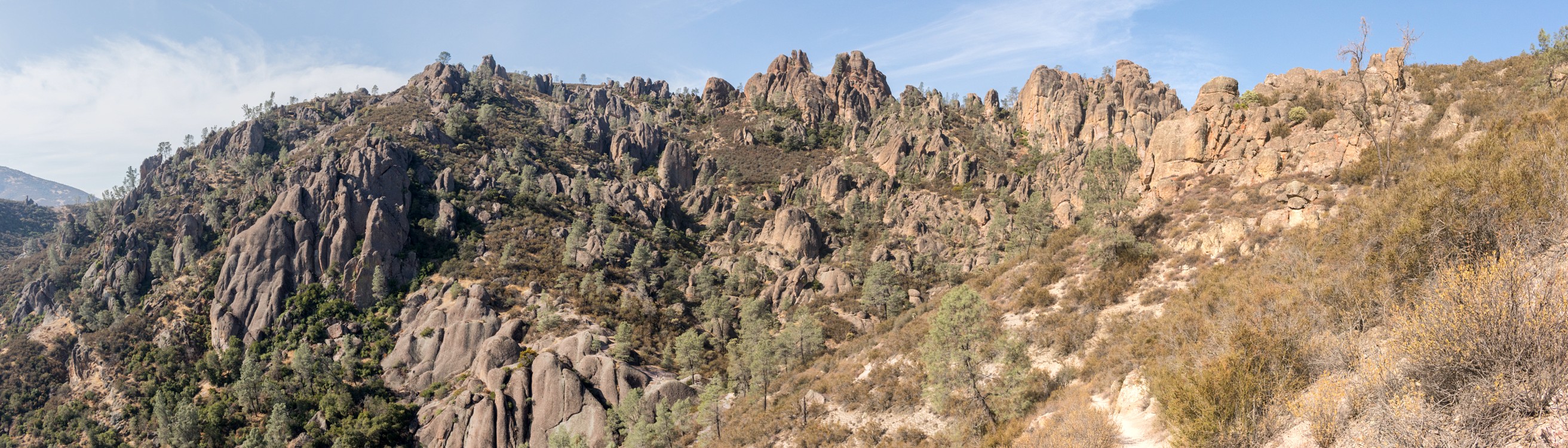 Pinnacles from High Peaks Trail