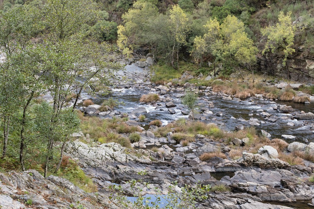 Paiva River