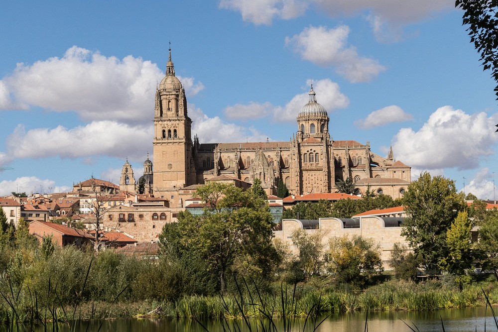 Salamanca Cathedral (1513-1733)