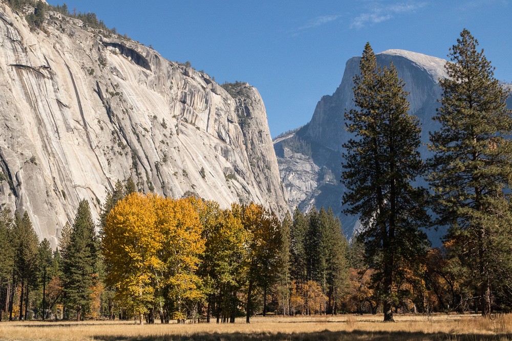 Ahwanee Meadow and Half Dome