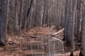 Flooded path