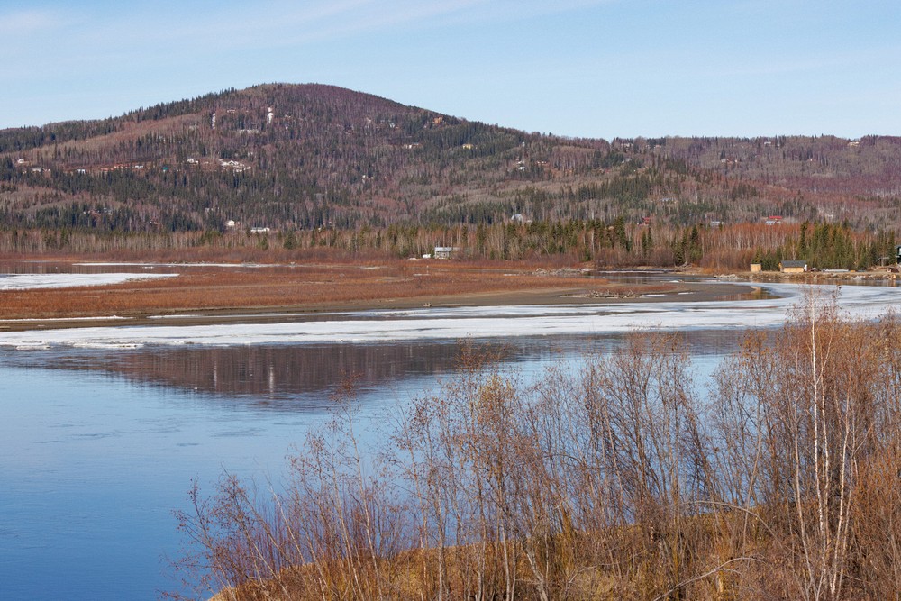 Tanana River