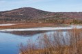 Tanana River