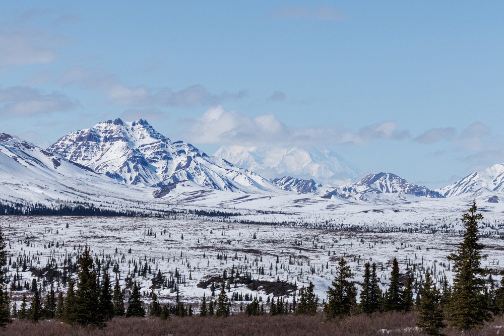 Denali