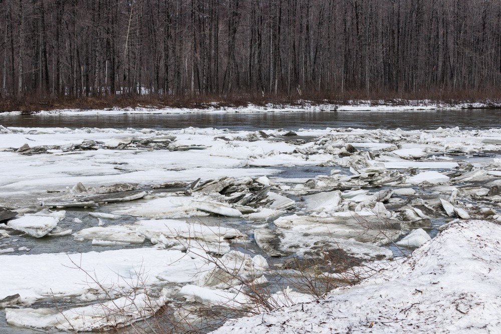 Susitna River