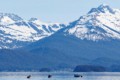 Fishing boats in Auke Bay