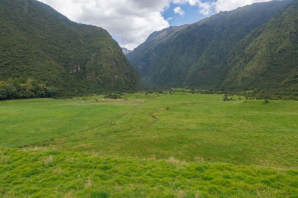 Zuleta valley
