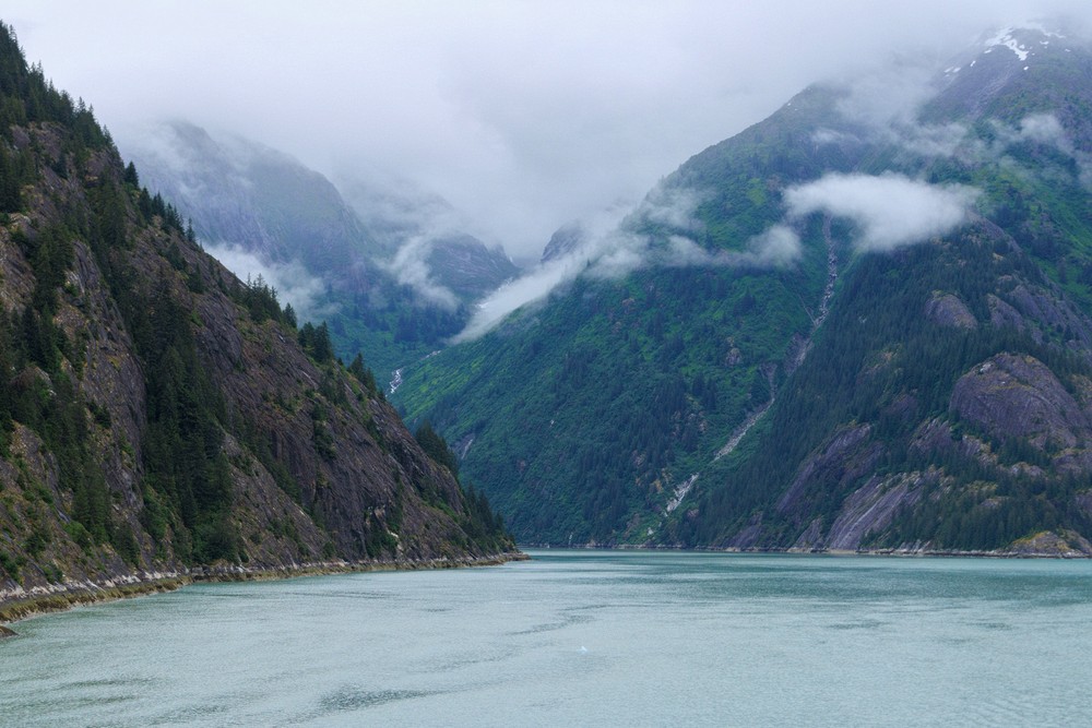 Endicott Arm
