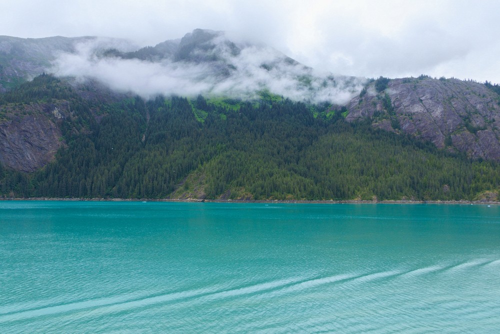 Endicott Arm