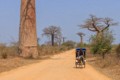"Push-push" on the Kirindy road