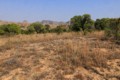 Isalo National Park