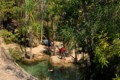 Piscine Naturelle