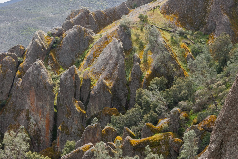 Pinnacles