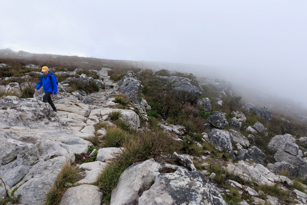 Table Mountain